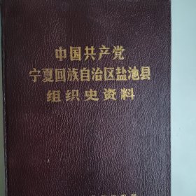 中国共产党宁夏回族自治区盐池县组织史资料 正版无翻阅