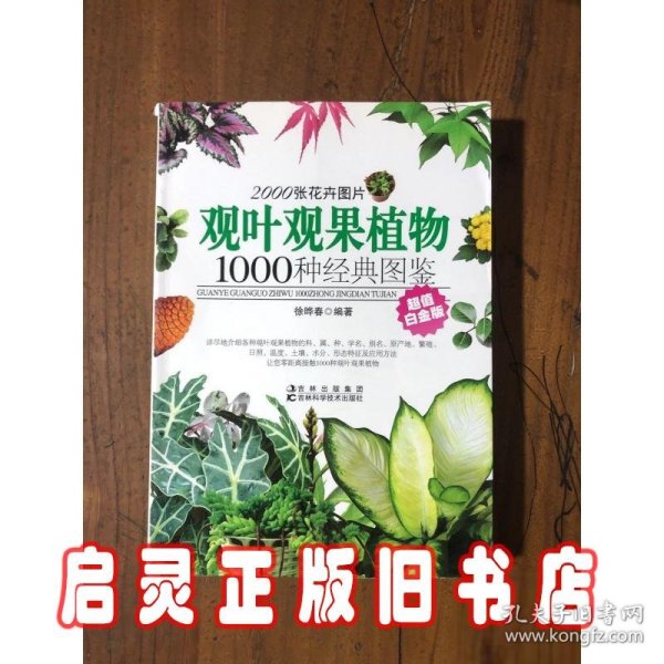 观叶观果植物1000种经典图鉴（超值白金版）