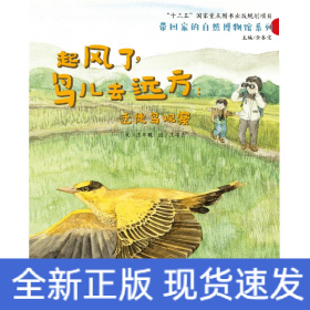 起风了，鸟儿去远方：迁徙鸟观察--中国原创图画书