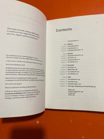 A Year In The Art World 艺术世界的一年 英文原版