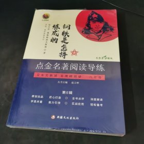 钢铁是怎样炼成,名著阅读导练+导练手册一本