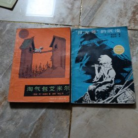 淘气包艾米尔，月光号的沉没（两册合售）