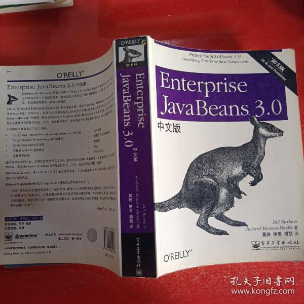 Enterprise JavaBeans 3.0中文版