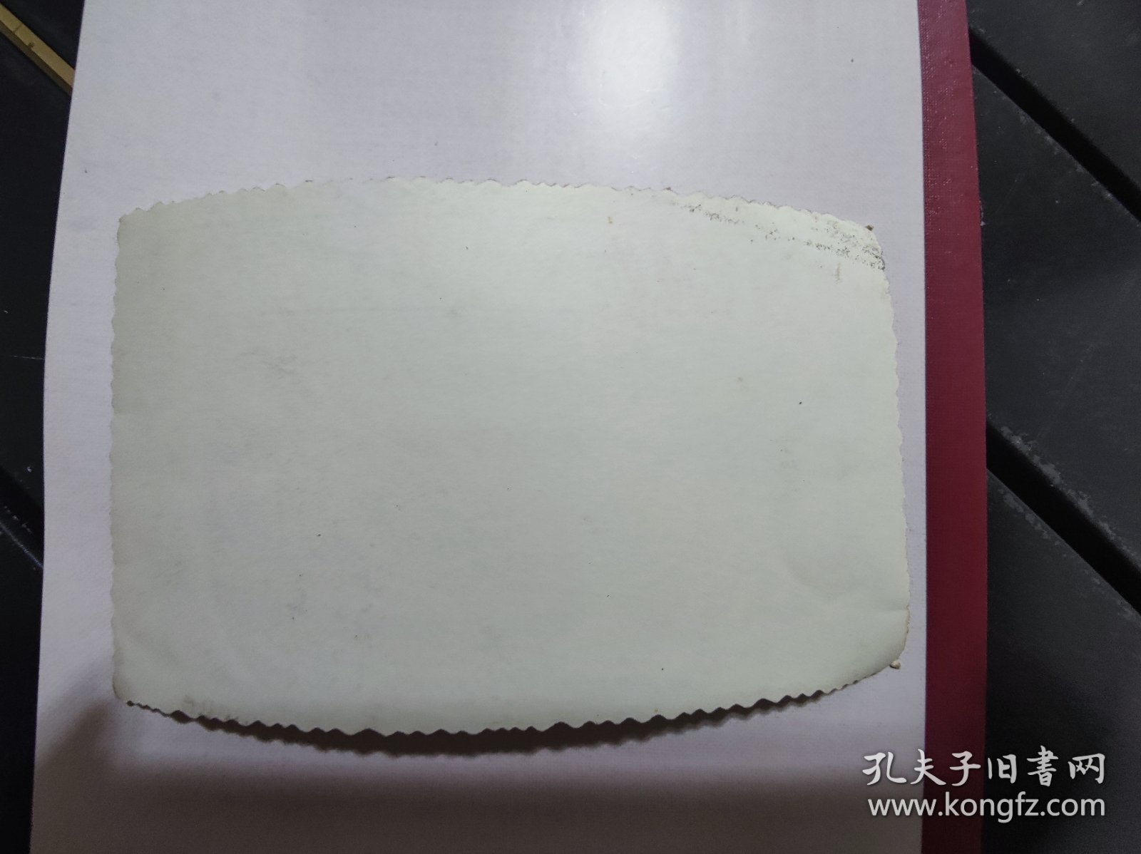 老照片:中国科学院 新年进步