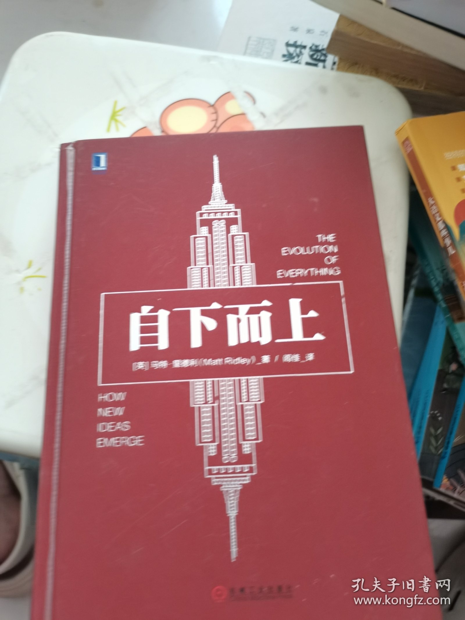 自下而上:万物进化简史