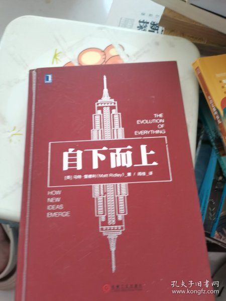 自下而上:万物进化简史
