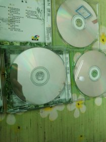 小写意花鸟画教学 禽鸟 3VCD