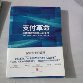 支付革命：互联网时代的第三方支付