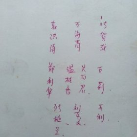 老照片，全体团员留念，