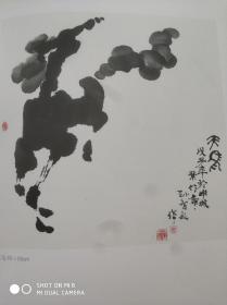 中国当代实力派画家 孙智敏画集