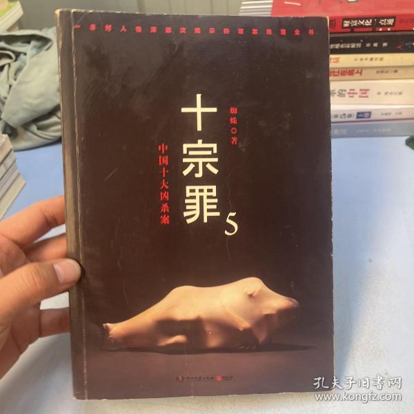 十宗罪5：中国十大凶杀案