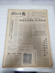 老报纸湖北日报1960年8月15日（4开四版) 党委书记在第一线；学习掌握蔬菜生产知识襄专各级干部带头大种蔬菜；踏踏实实照党的话办事；集中兵力攻三早力争晚稻超早稻