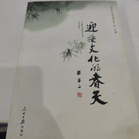 迎接文化的春天:“学习六中全会、推动文化大发展大繁荣”征文选集