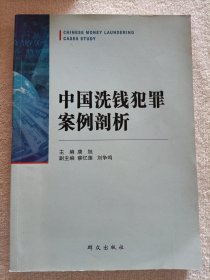 中国洗钱犯罪案例剖析