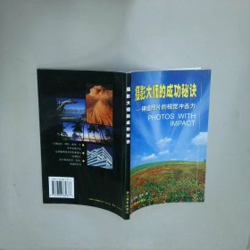 摄影大师的成功秘诀 铸造照片的视觉冲击力  汤姆 麦凯著 司大宇译 浙江摄影出版社