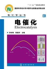 电化学丛书：电催化