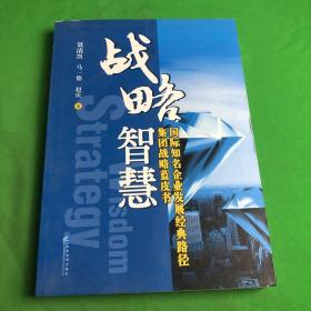 战略智慧：国际知名企业发展经典路径集团战略蓝皮书