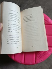 梦中的新娘:莱诺蕾