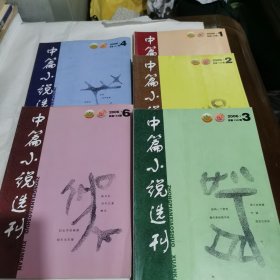 中篇小说选刊2006年