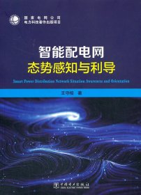 国家电网公司电力科技著作出版项目 智能配电网态势感知与利导