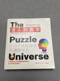 迷人的数学：315个烧脑游戏玩通数学史