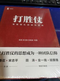 打胜仗:常胜团队的成功密码【未拆封】