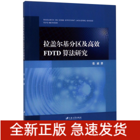 拉盖尔基分区及高效FDTD算法研究