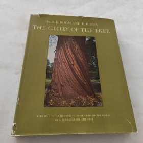 the glory of the tree