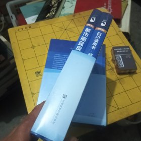 四川蓝皮书：成渝地区双城经济圈建设报告2024（全二册）
