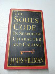 The Souls Code: In Search Of Character And Calling （灵魂密码：寻找角色和召唤）