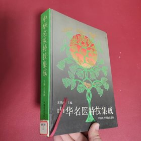 中华名医特技集成