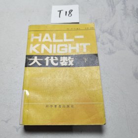 Hall-Knight大代数 下册