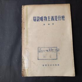 辩证唯物主义是什么