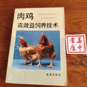 肉鸡高效益饲养技术