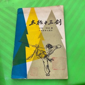 太极十三剑 1957版