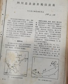 四川忠县涂井蜀汉崖墓