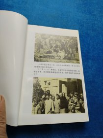 二十世纪中国纪实