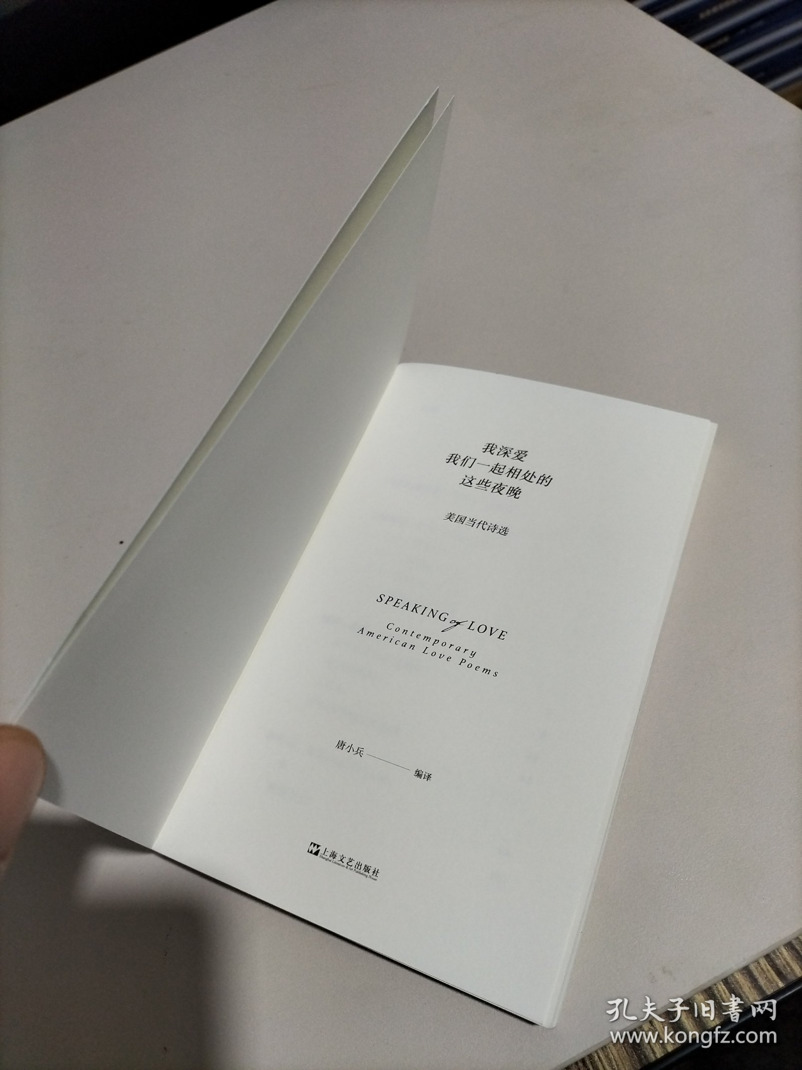 我深爱我们一起相处的这些夜晚：美国当代诗选