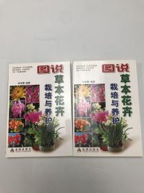 图说草本花卉栽培与养护