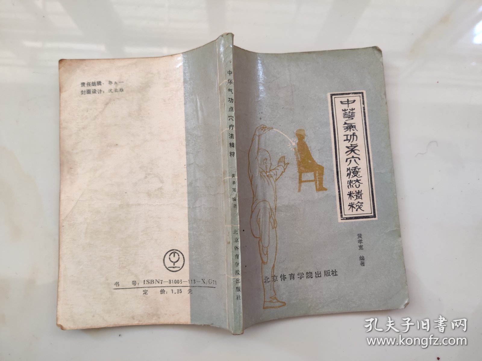 中华气功点穴疗法精粹