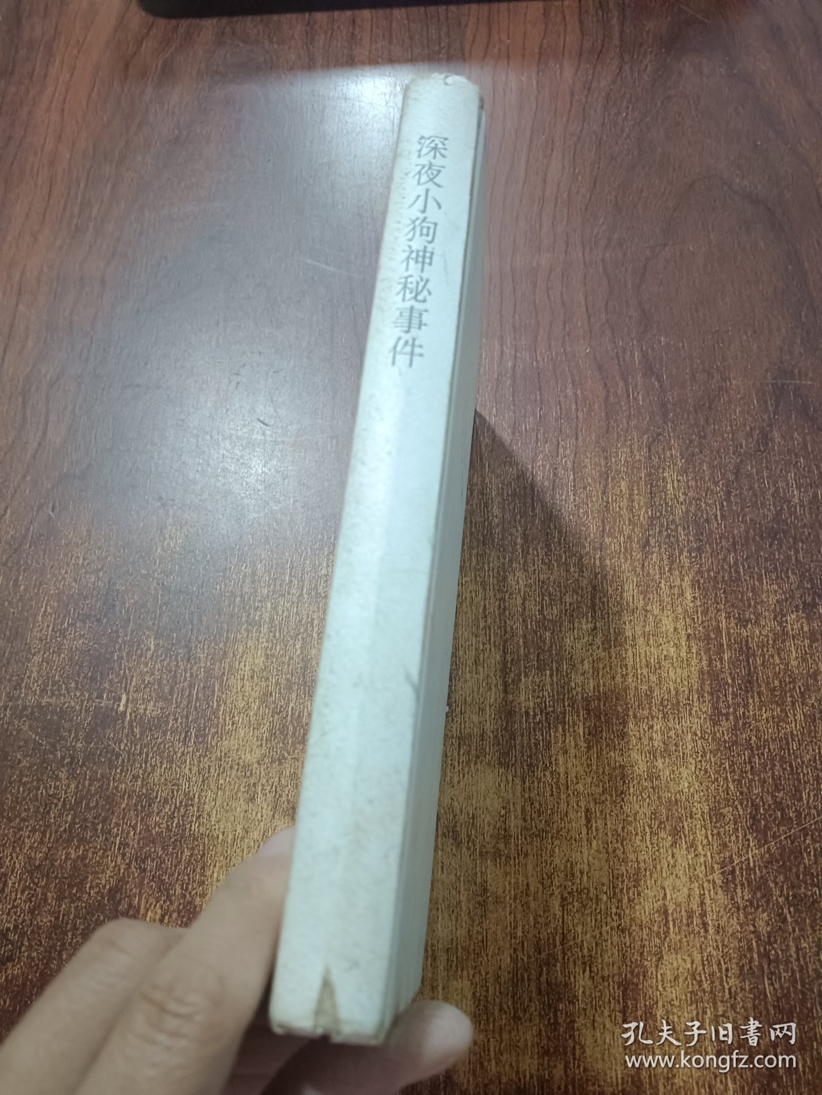 深夜小狗神秘事件