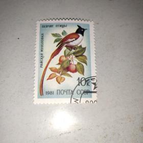 苏联邮票1981年鸣禽鸟类
