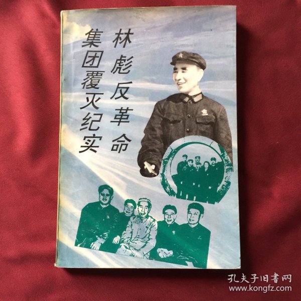 林彪反革命集团覆灭纪实