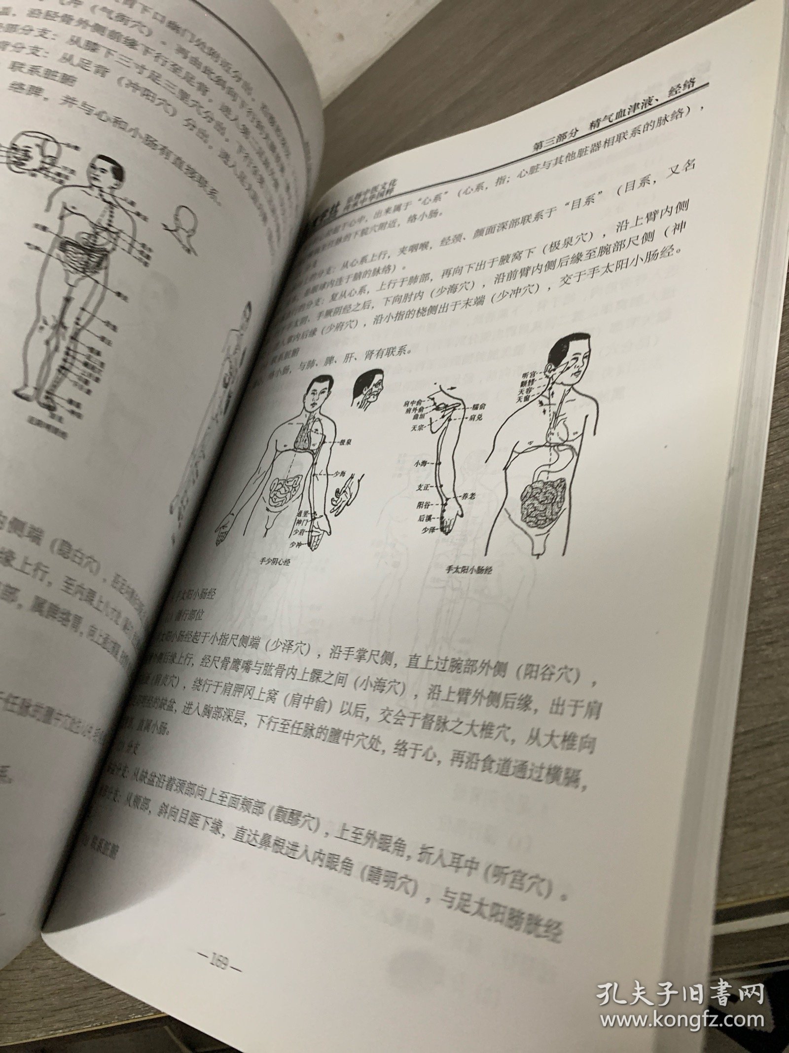 入门中医 中医基础理论