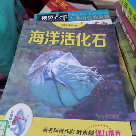 “大白鲸计划”海洋科普馆：海洋活化石