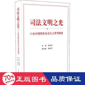 司法文明之光（十论中国特色社会主义审判制度）