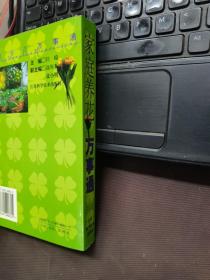 家庭养花万事通