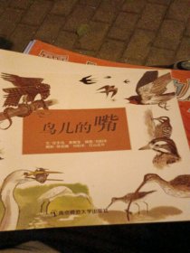 鸟儿的嘴