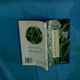 因为年轻所以流浪