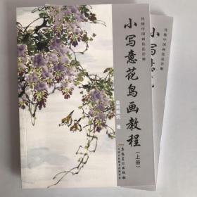 2本合售 传统中国画技法详解：小写意花鸟画教程（上下）